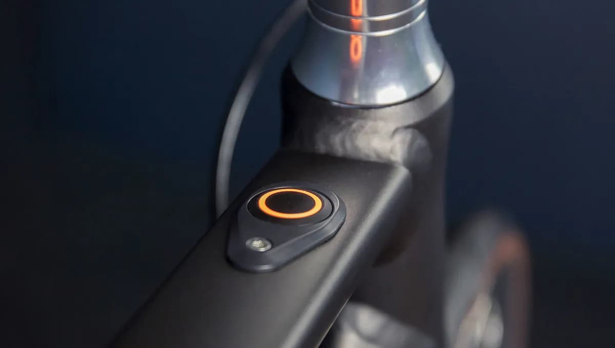 Arthur - Singlespeed